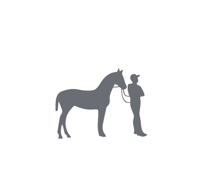 Copa Petiseros 11