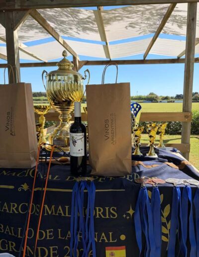 Premios Copa Petiseros 2026 Vinos Argentinos